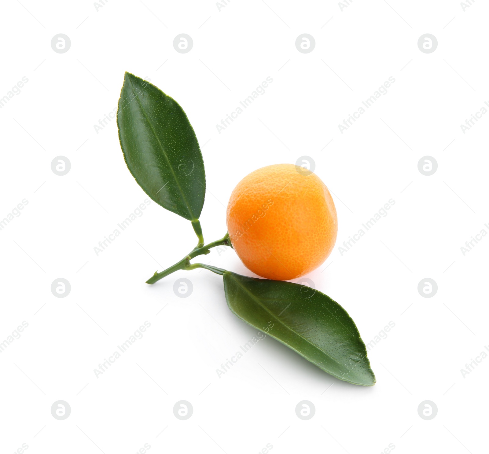 Photo of Ripe tangerine with leaves isolated on white. Tasty citrus fruit