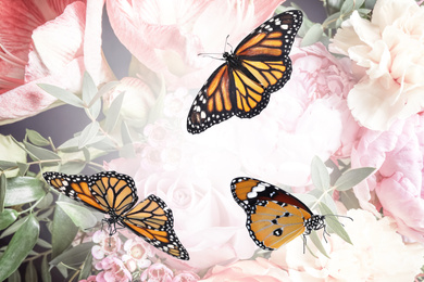 Image of Beautiful monarch and plain tiger butterflies on flowers, closeup