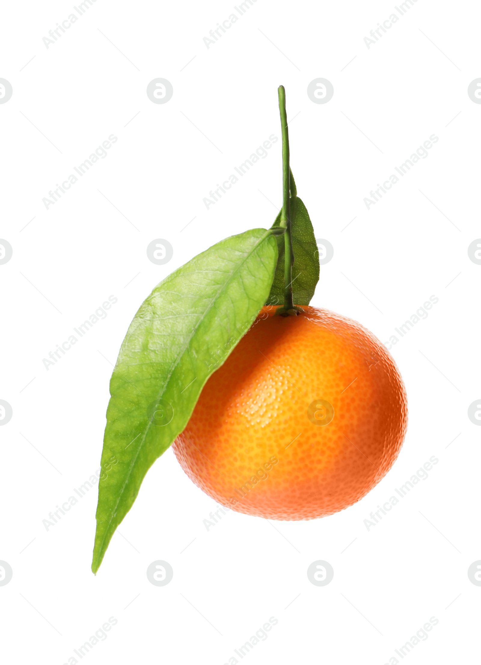 Photo of One fresh tangerine with green leaves isolated on white