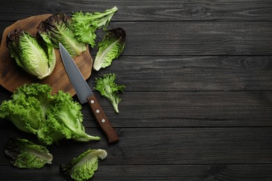 Photo of Different sorts of lettuce and knife on black wooden table, flat lay. Space for text