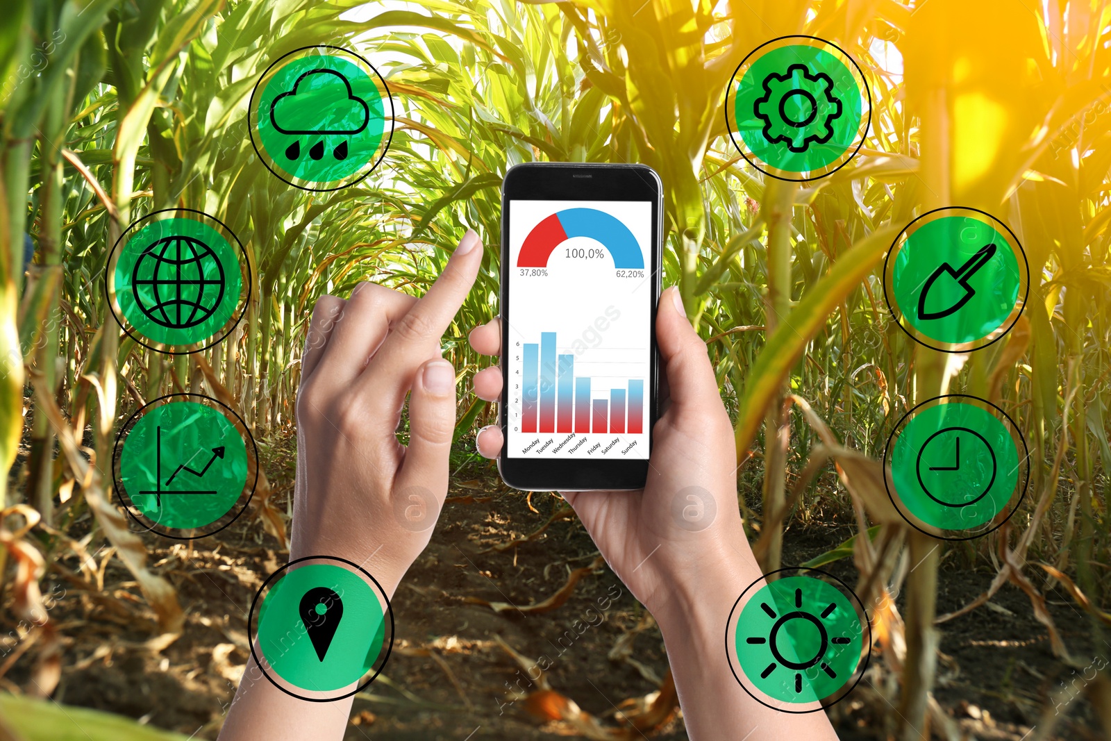 Image of Modern agriculture. Woman with smartphone in corn field and icons, closeup