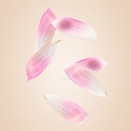 Image of Pink lotus flower petals falling on beige background