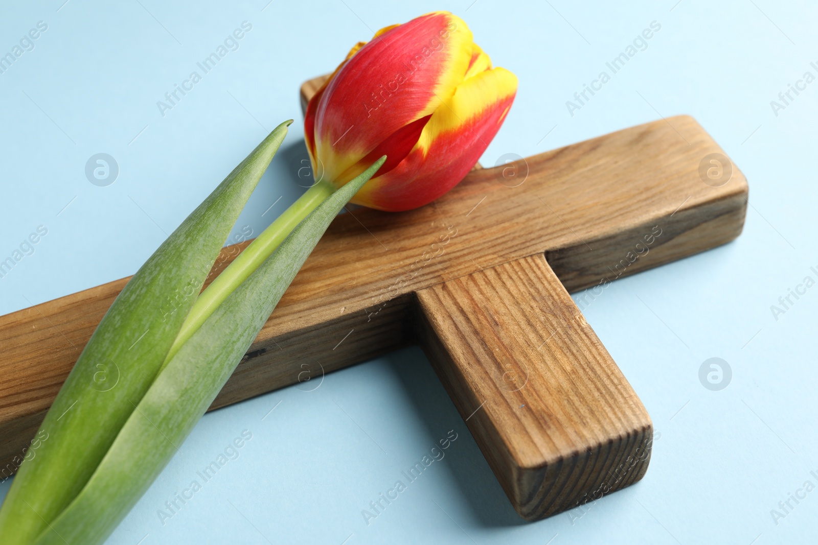 Photo of Easter - celebration of Jesus resurrection. Wooden cross and tulip on light blue background, closeup