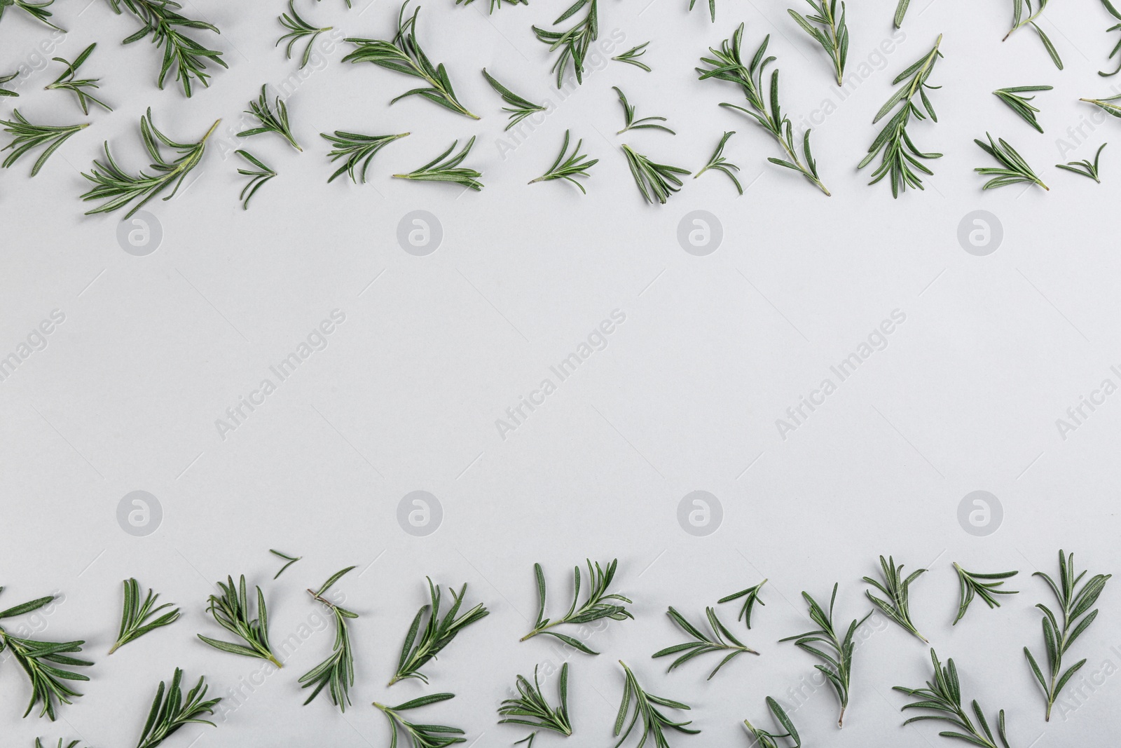 Photo of Flat lay composition with fresh rosemary on light background. Space for text