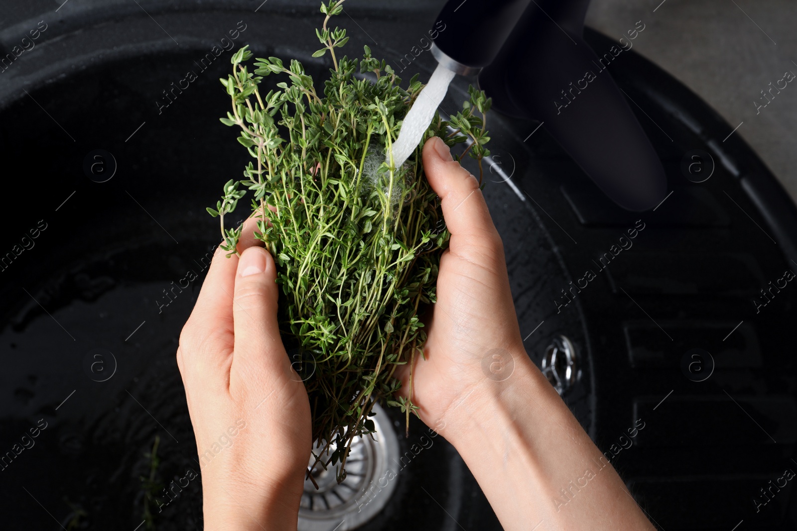 Photo of Woman washing aromatic thyme in sink, above view