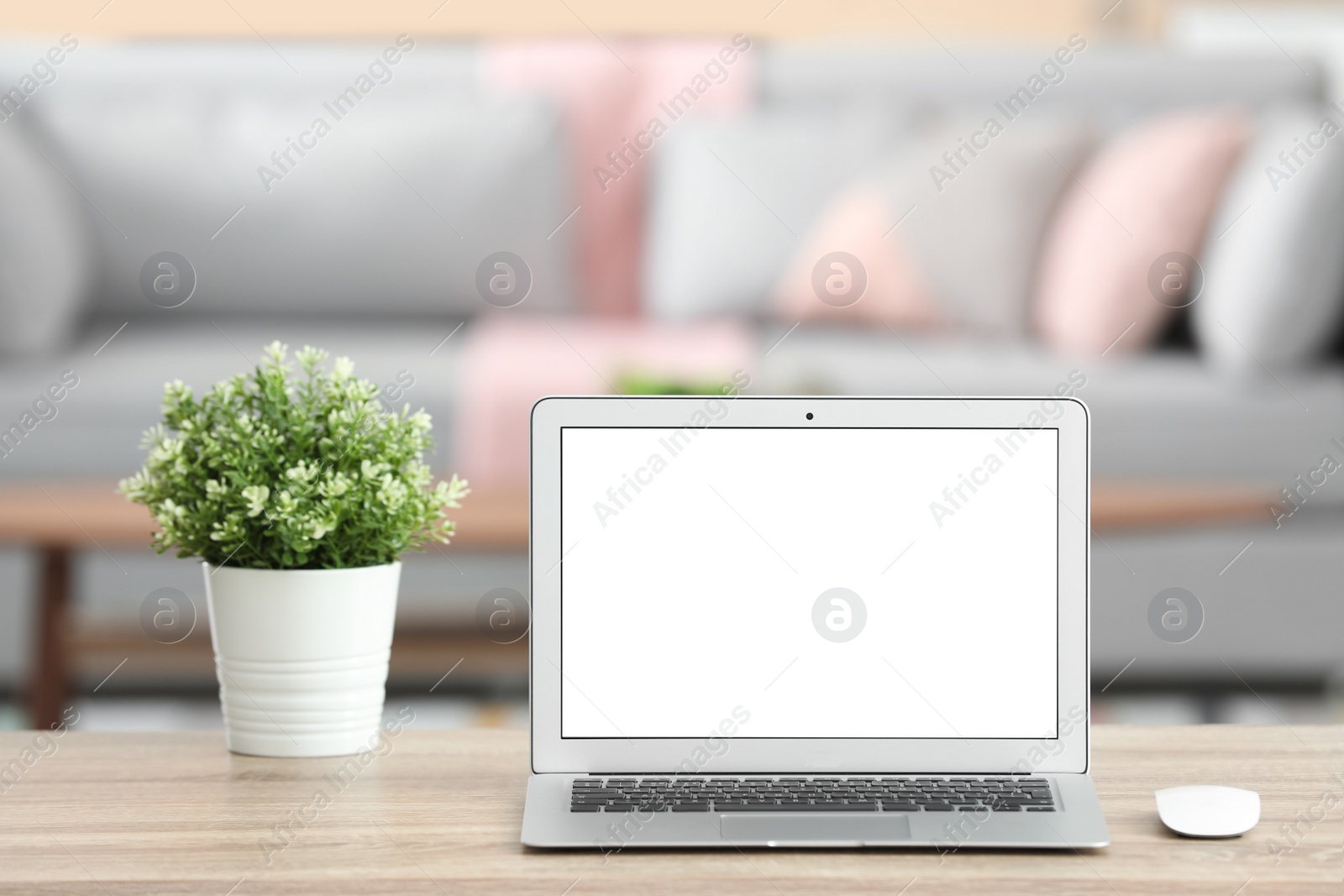 Photo of Laptop with blank screen on table indoors. Space for text