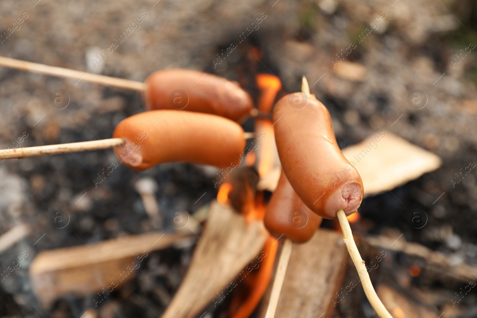 Photo of Frying sausages on bonfire outdoors. Camping season