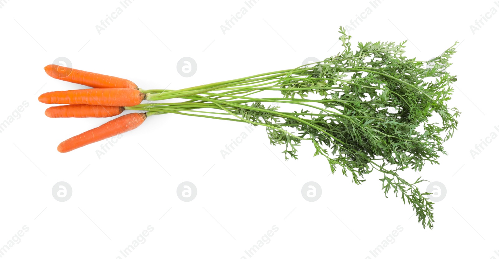 Bunch of fresh ripe carrots isolated on white Photo of Bunch of fresh ripe carrots isolated on white
