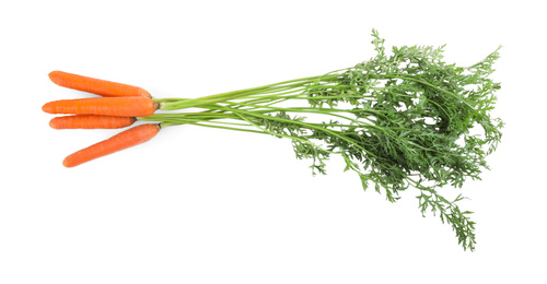 Photo of Bunch of fresh ripe carrots isolated on white