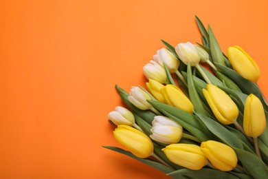 Photo of Beautiful yellow tulips on orange background, flat lay. Space for text