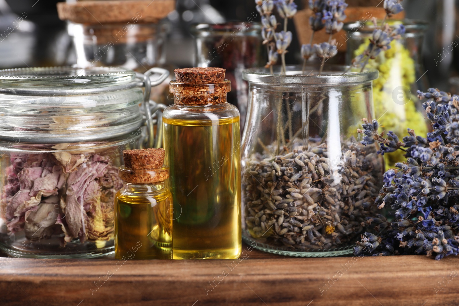 Photo of Bottles with essential oils and different dry herbs on wooden table, closeup