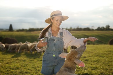 Photo of Smiling woman with bucket feeding sheep on pasture at farm