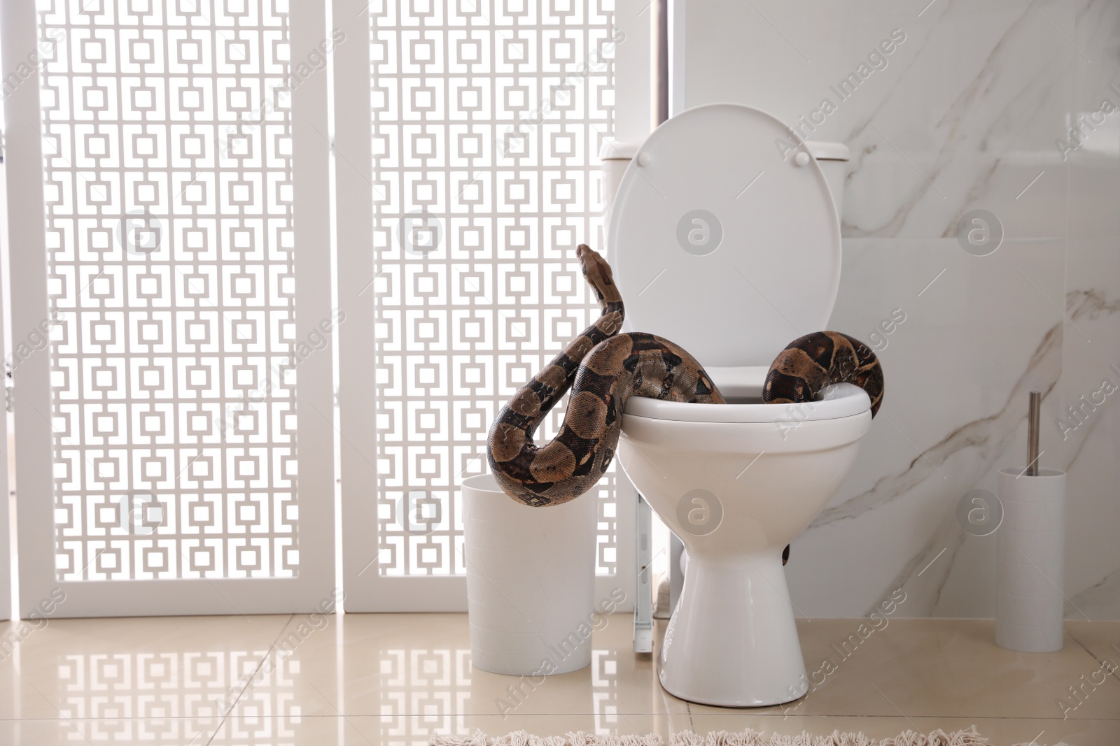 Photo of Brown boa constrictor on toilet bowl in bathroom