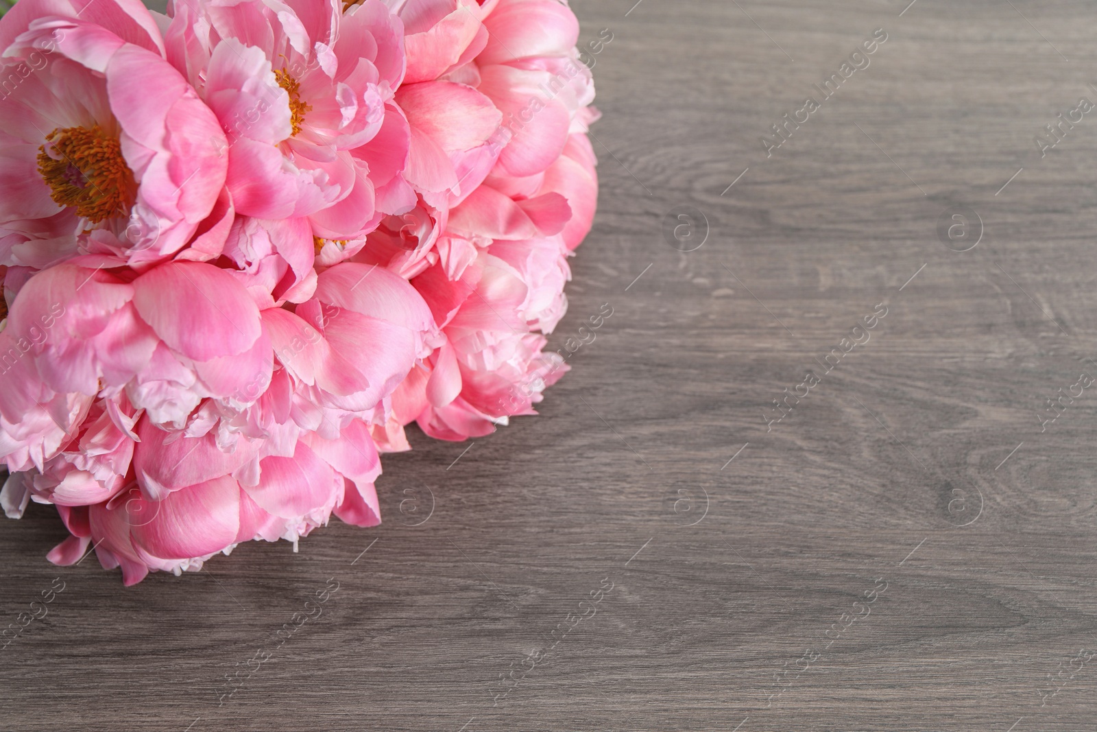 Photo of Bunch of beautiful pink peonies on wooden table, closeup. Space for text