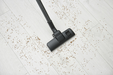 Photo of Removing groats from wooden floor with vacuum cleaner at home, top view
