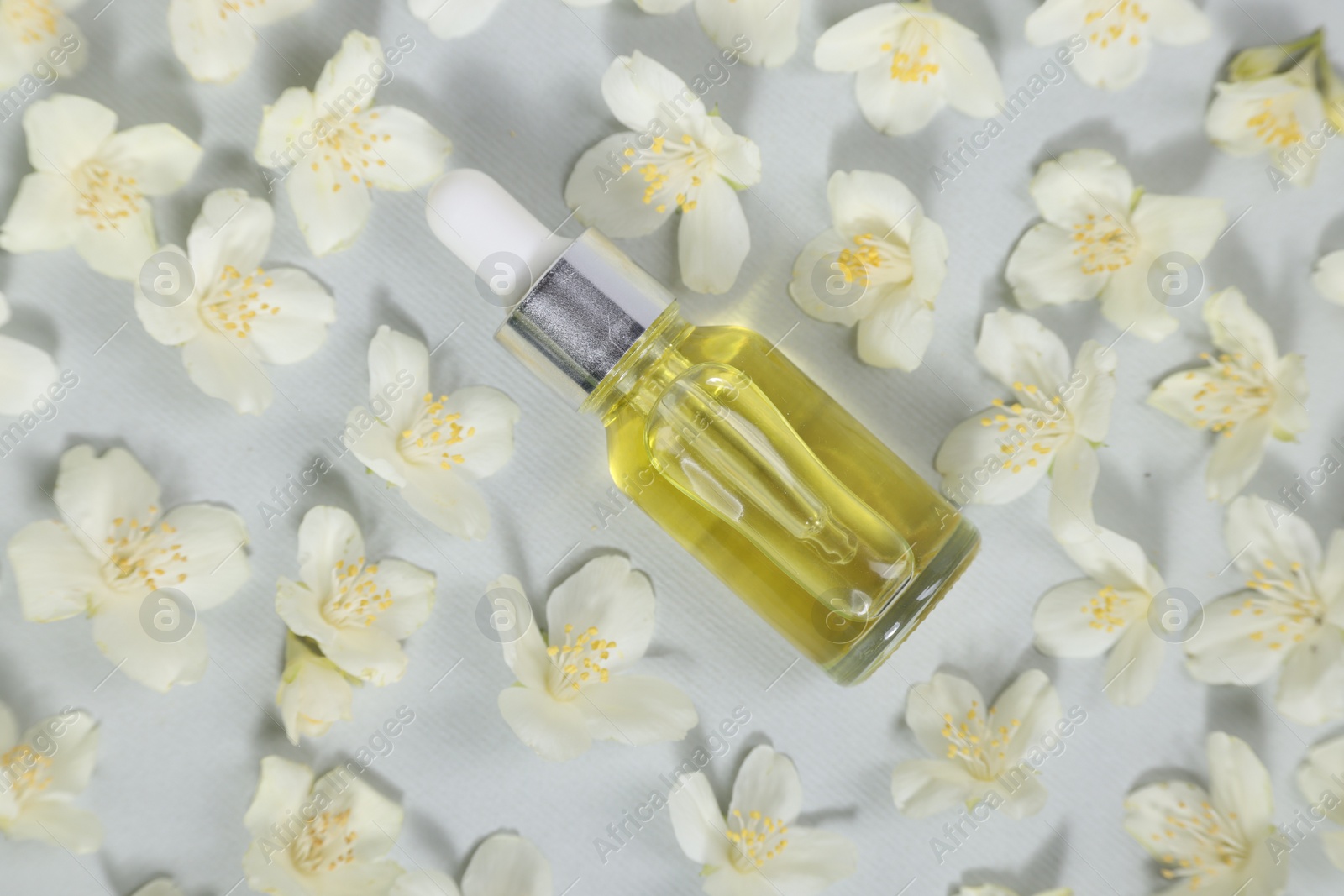 Photo of Essential oil in bottle and beautiful jasmine flowers on grey background, flat lay