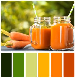 Image of Color matching palette. Mason jars of tasty juice and carrots on table against blurred background