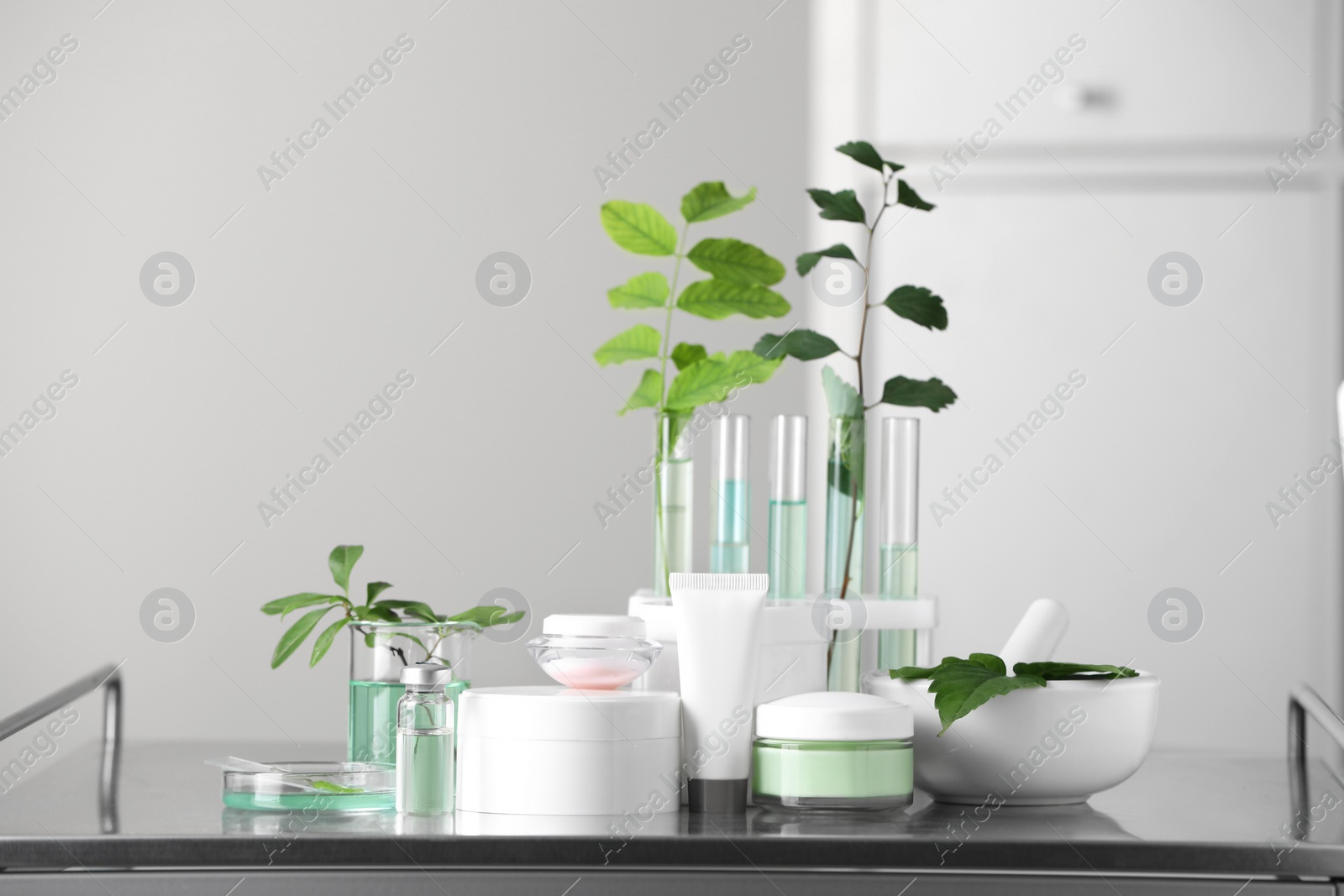 Photo of Many containers and glass tubes with leaves on white table indoors