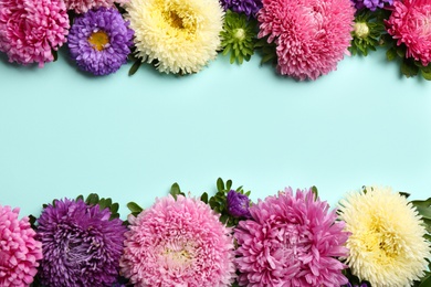 Frame of beautiful asters and space for text on light blue background, flat lay. Autumn flowers