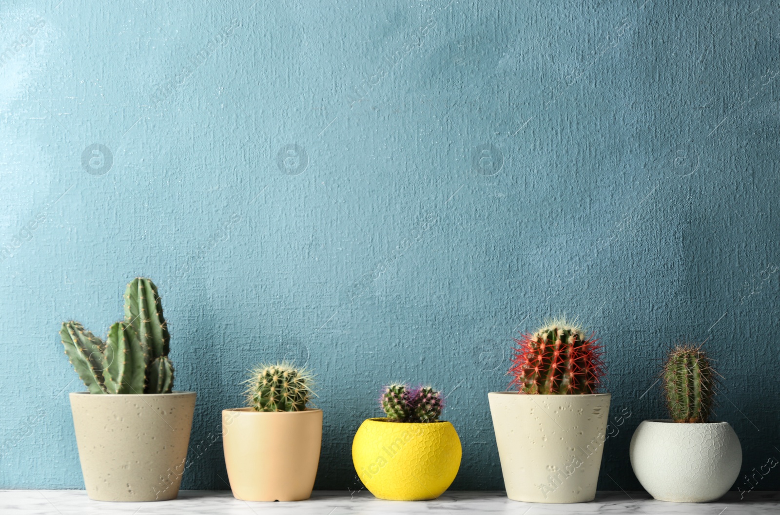 Photo of Different potted cacti on table near color background, space for text. Interior decor