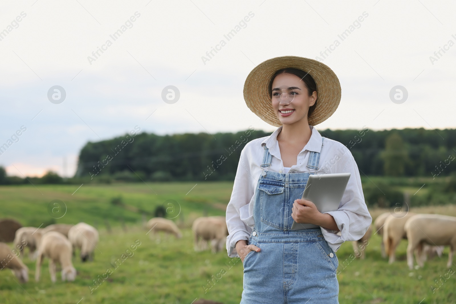 Photo of Smiling woman with tablet on pasture at farm. Space for text