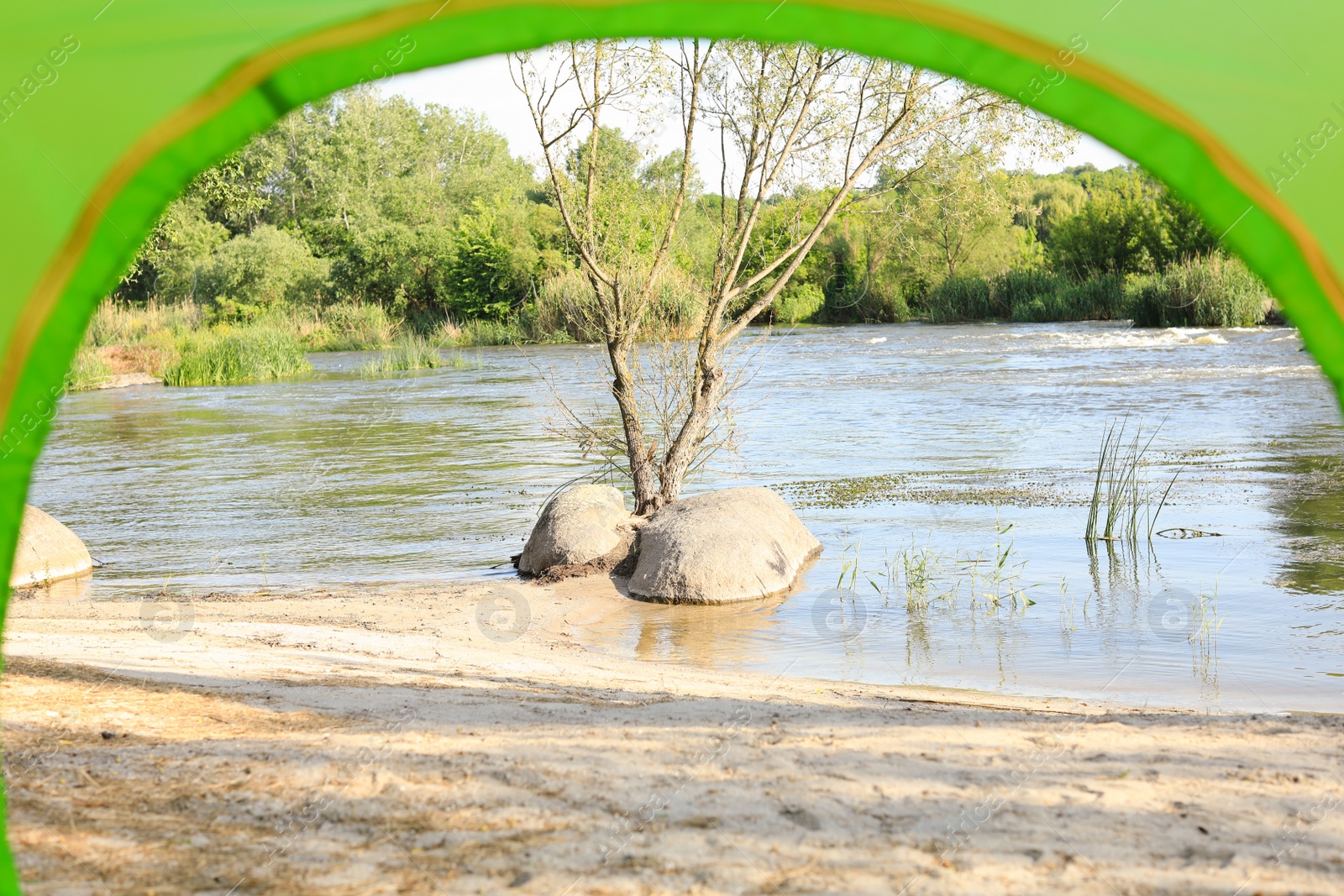 Photo of Calm river with forest on bank, view from camping tent