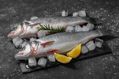 Fresh raw sea bass fish, ice cubes and lemon wedges on black table