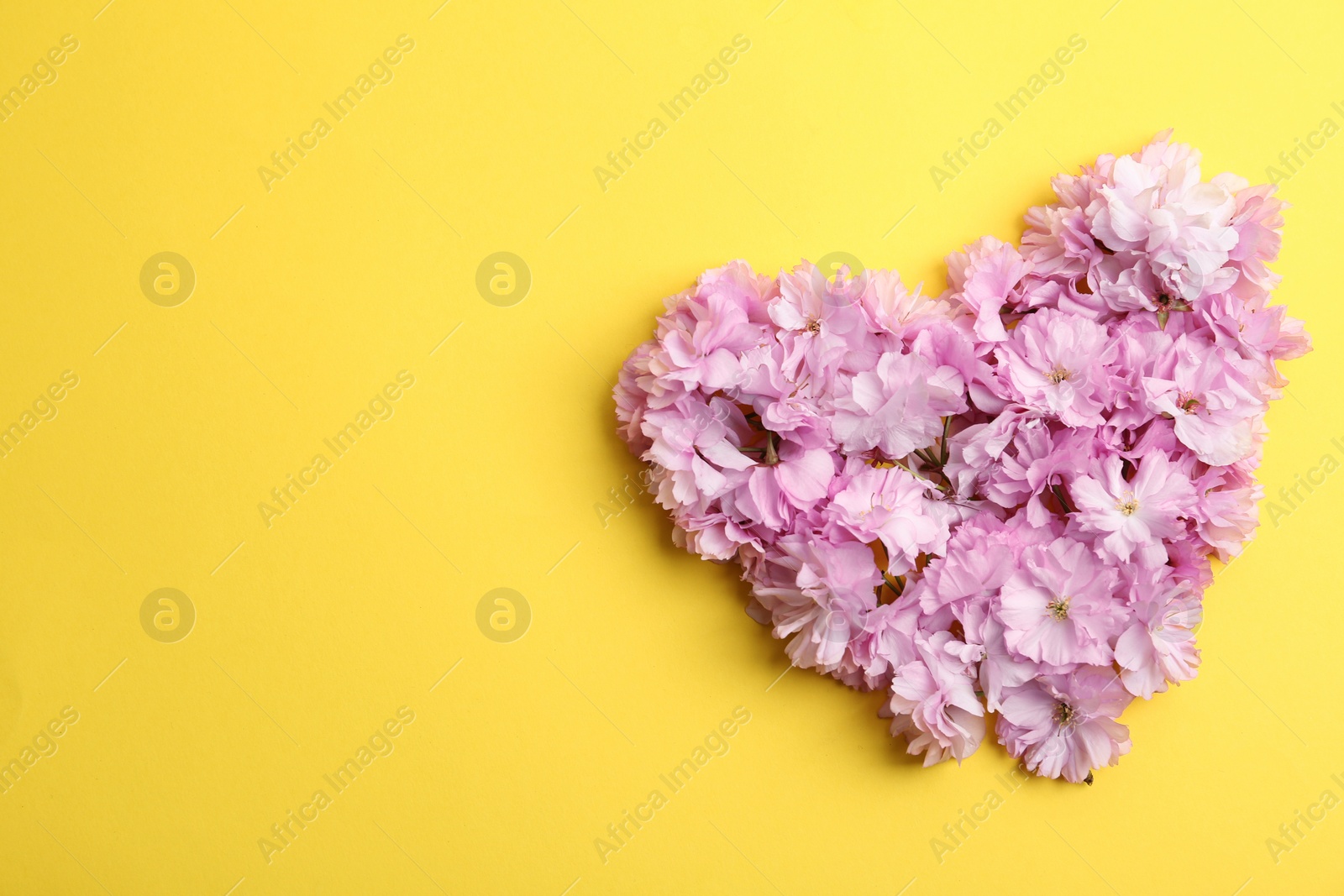 Photo of Heart made with sakura blossom on yellow background, space for text. Japanese cherry