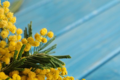 Beautiful mimosa flowers on light blue wooden table, closeup. Space for text