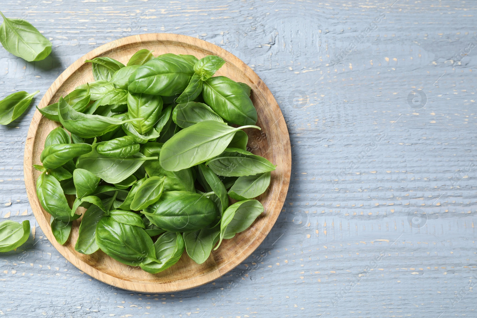 Photo of Fresh green basil on light grey wooden table, flat lay. Space for text