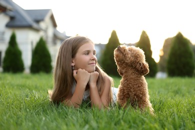 Beautiful girl with cute Maltipoo dog on green lawn in backyard