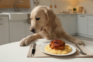Cute funny dog sitting at table with food in kitchen