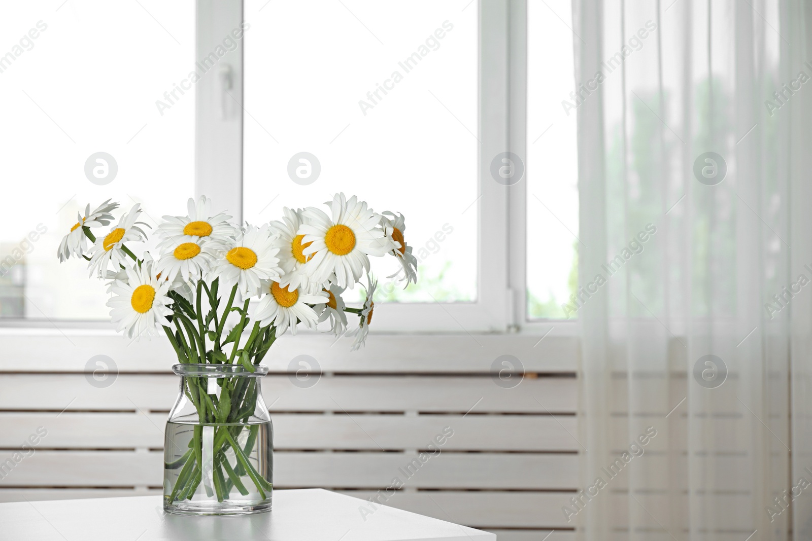 Photo of Vase with beautiful chamomile flowers on table in room. Space for text