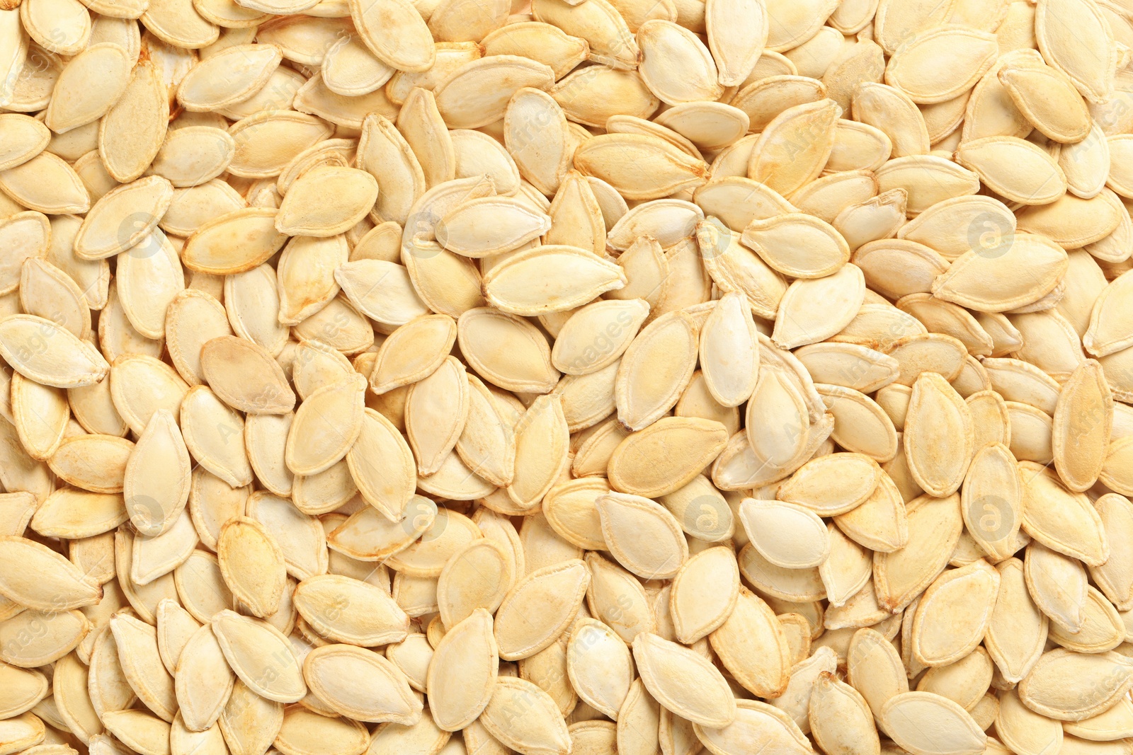 Photo of Many pumpkin seeds as background, top view