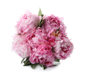 Bouquet of beautiful peonies on white background