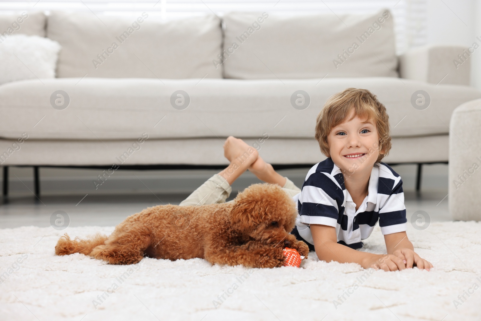 Photo of Little child and cute puppy on carpet at home. Lovely pet