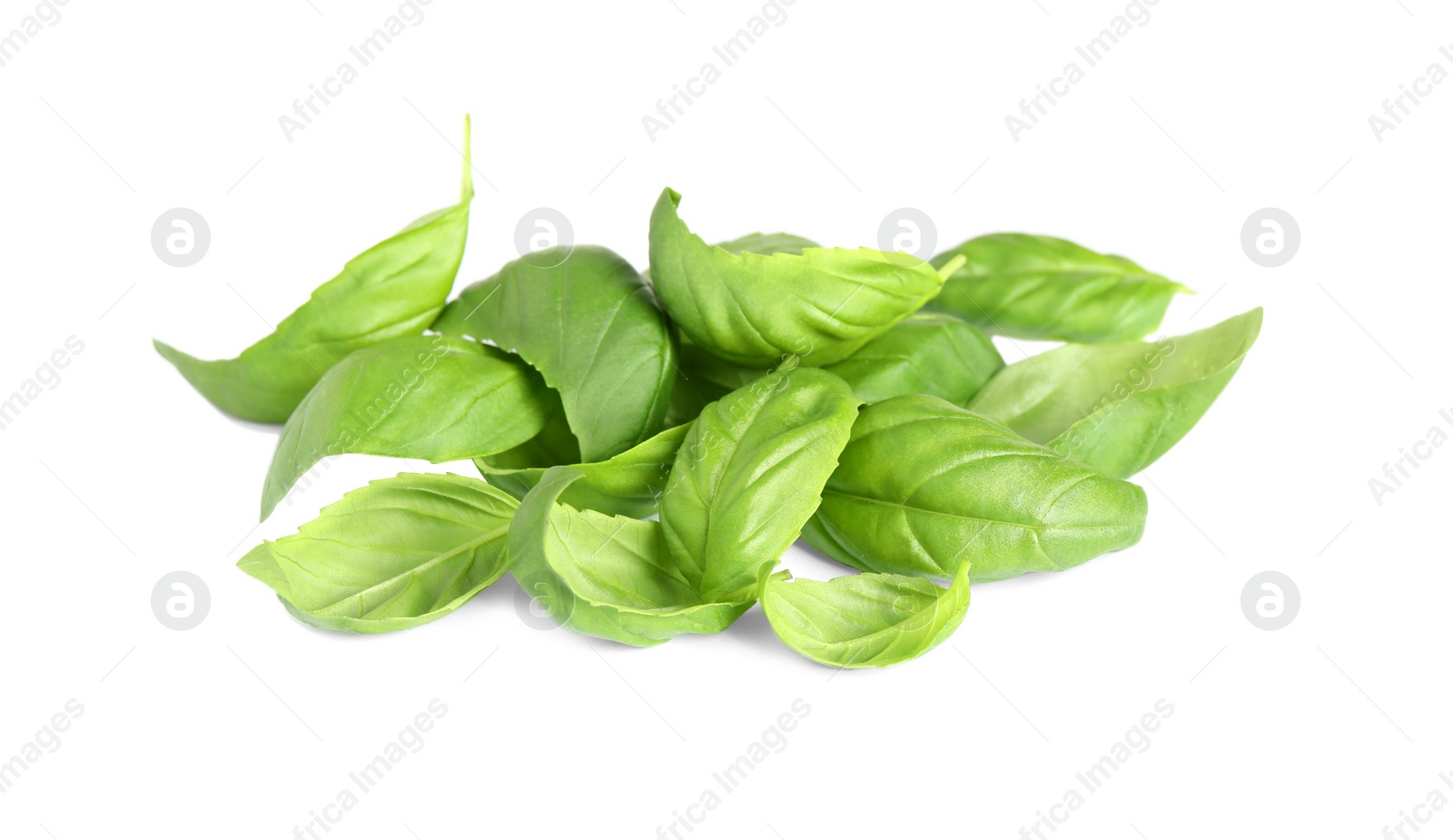 Photo of Fresh green basil leaves isolated on white