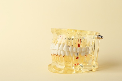 Photo of Educational model of oral cavity with teeth on color background. Space for text