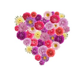 Image of Beautiful heart shaped composition made with bright aster flowers on white background