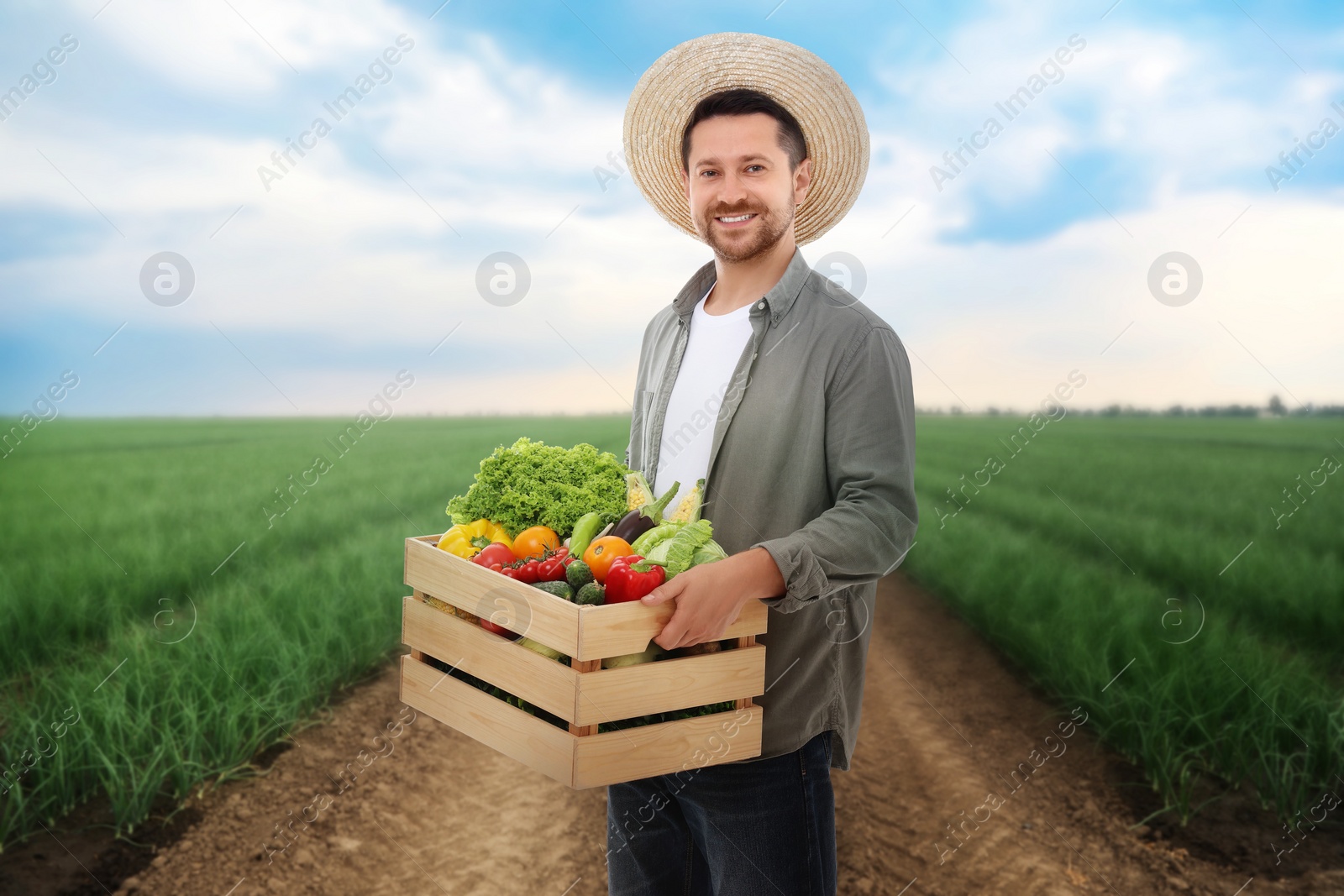 Image of Harvesting season. Farmer holding wooden crate with crop in field