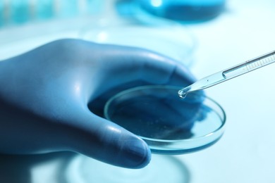 Doctor dripping liquid from pipette into petri dish on blurred background, closeup. Laboratory analysis