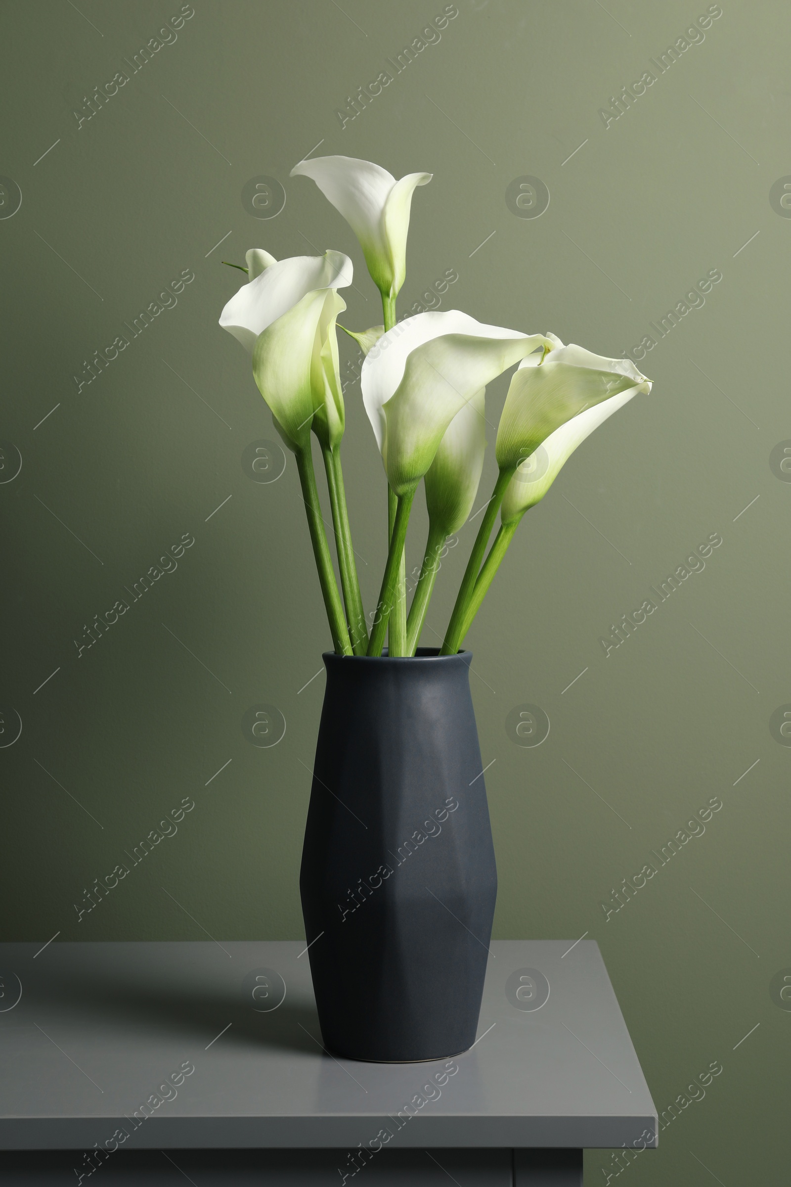 Photo of Beautiful calla lily flowers in vase on grey table near olive wall