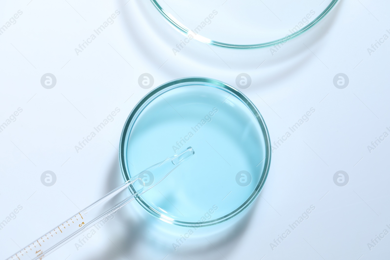 Photo of Pipette and petri dishes with liquid on white table, flat lay