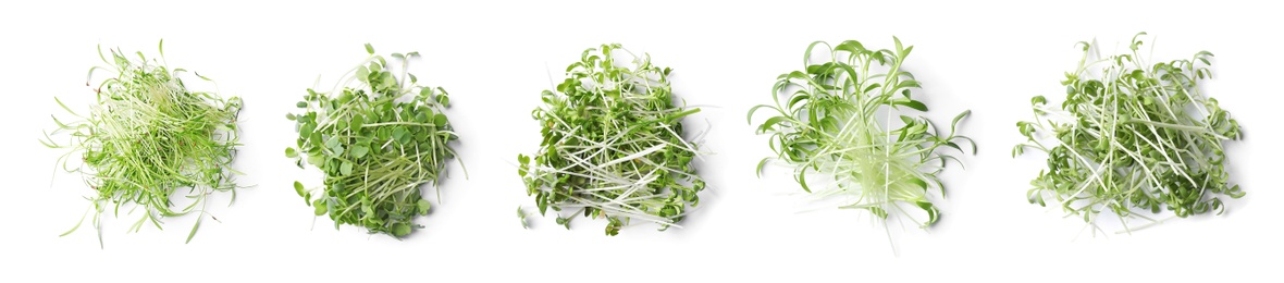 Image of Set of different fresh microgreens on white background, top view. Banner design 