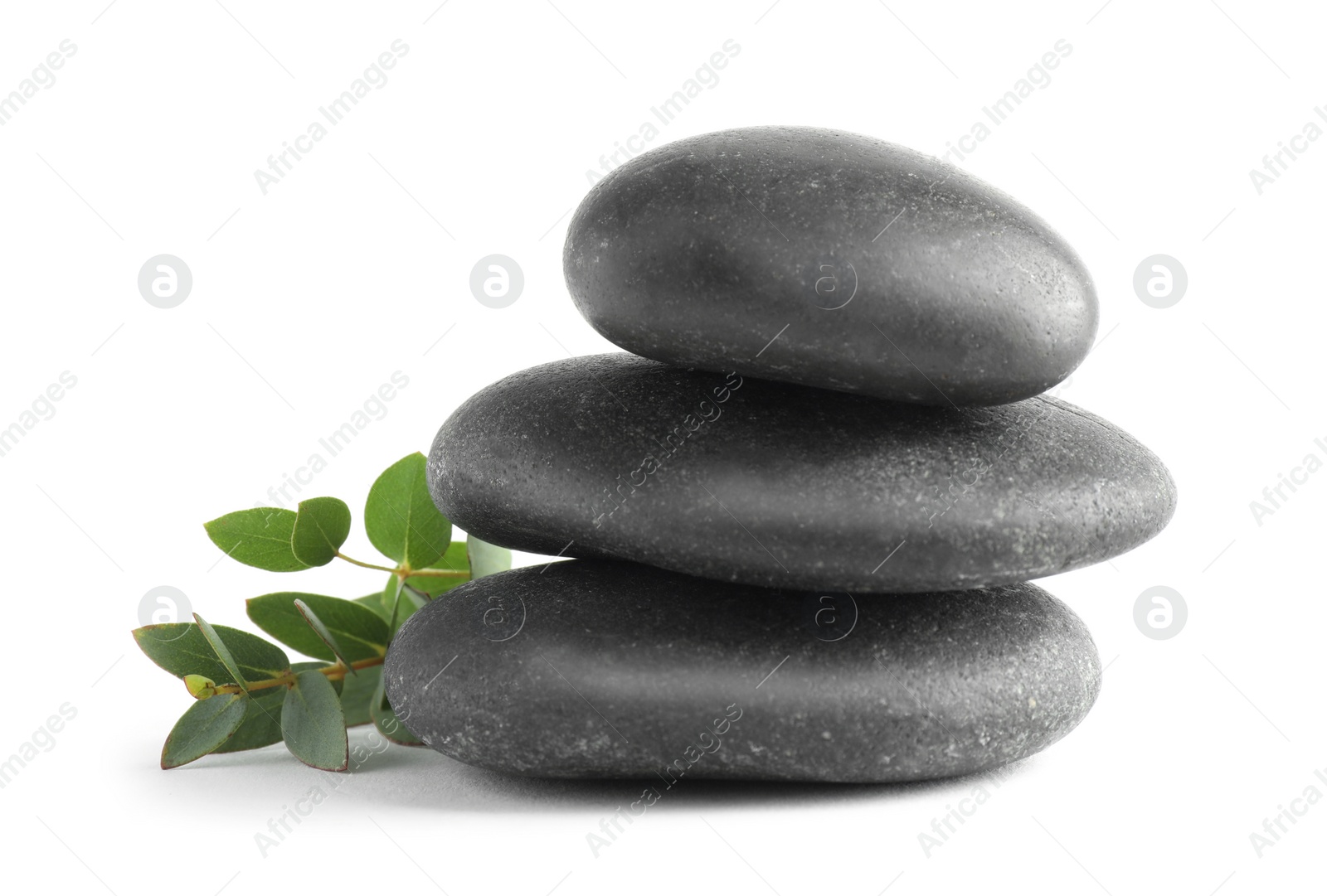 Photo of Stack of black spa stones with green branch isolated on white