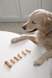 Photo of Cute Golden Retriever at table with dog biscuits in kitchen, above view