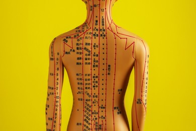 Photo of Acupuncture model. Mannequin with dots and lines on yellow background, back view