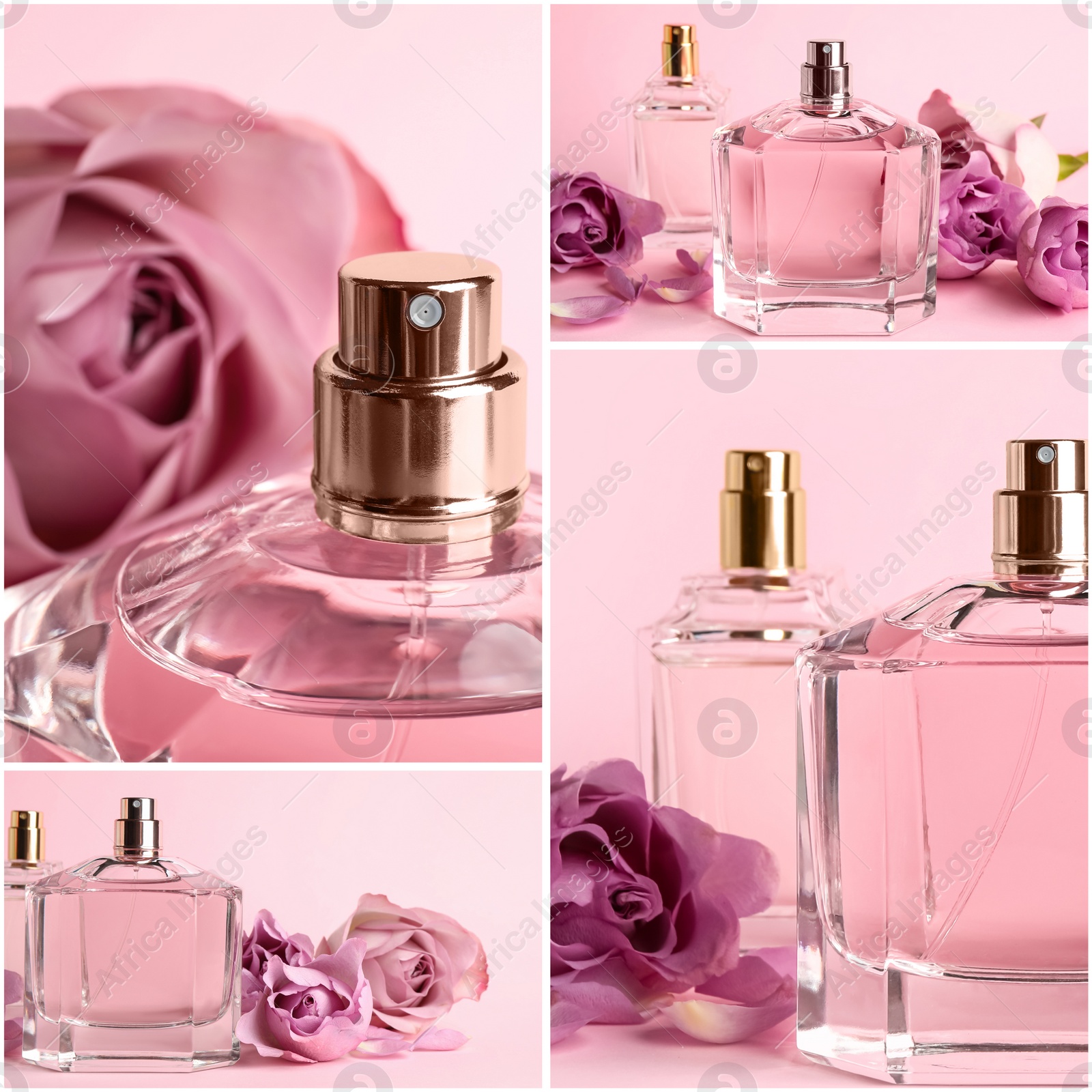 Image of Creative collage with photos of luxury perfume and beautiful flowers on color backgrounds 