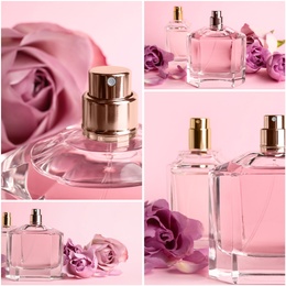 Image of Creative collage with photos of luxury perfume and beautiful flowers on color backgrounds 