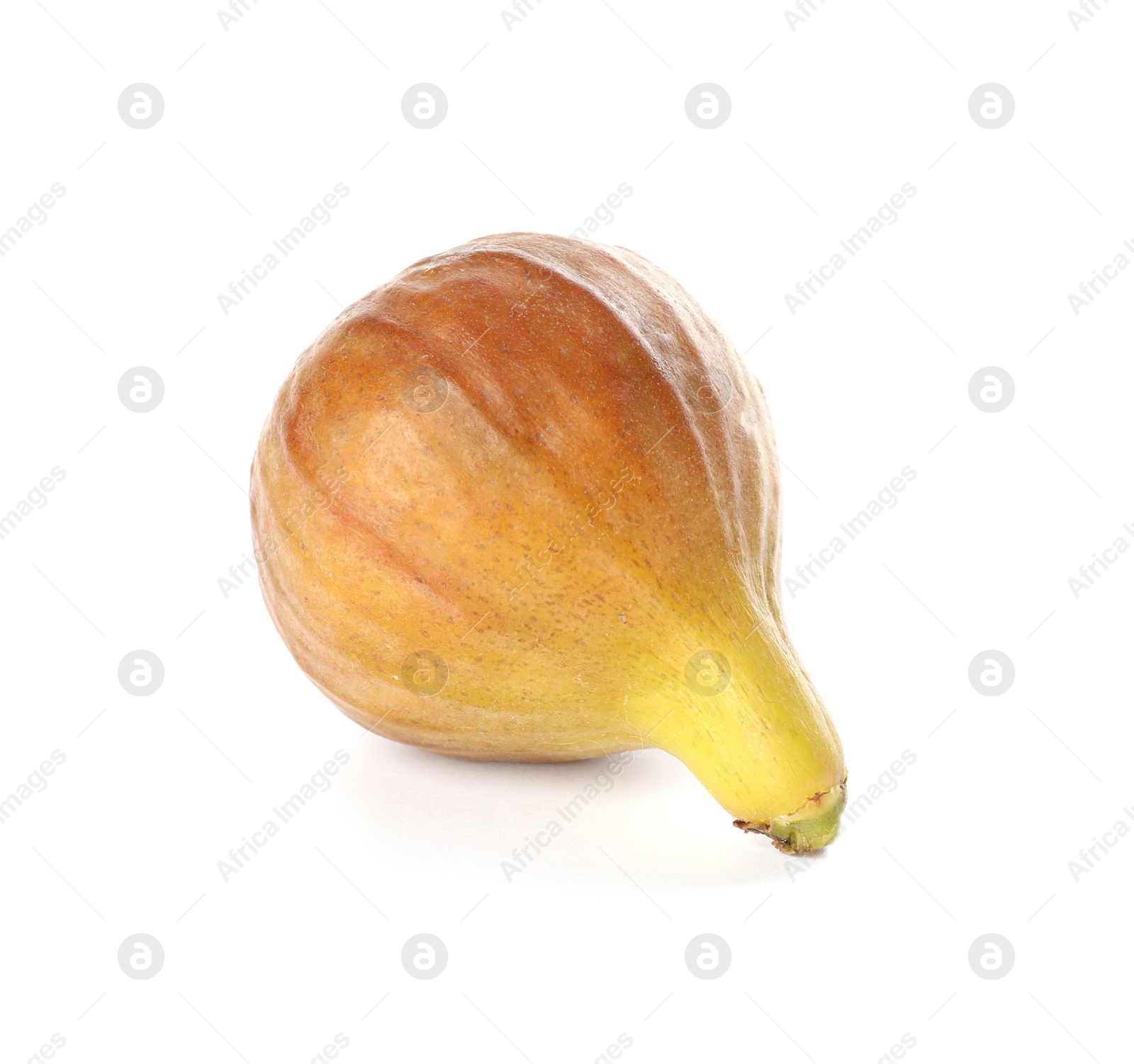 Photo of Whole tasty ripe fig isolated on white